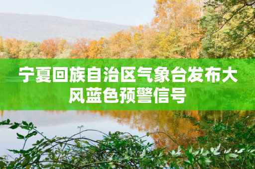 宁夏回族自治区气象台发布大风蓝色预警信号-第1张图片-靖非智能科技传媒