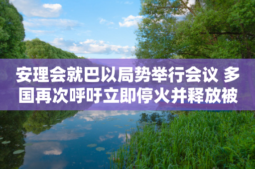 安理会就巴以局势举行会议 多国再次呼吁立即停火并释放被扣押人员-第1张图片-靖非智能科技传媒