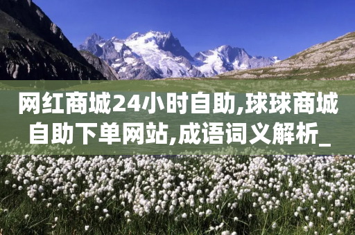 网红商城24小时自助,球球商城自助下单网站,成语词义解析_ iPhone34.2.157-第1张图片-靖非智能科技传媒