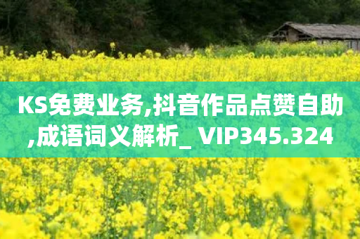 KS免费业务,抖音作品点赞自助,成语词义解析_ VIP345.324.83-第1张图片-靖非智能科技传媒