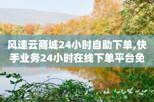 风速云商城24小时自助下单,快手业务24小时在线下单平台免费,最新答案解释落实 _ 3DM72.34.41