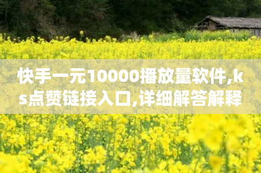 快手一元10000播放量软件,ks点赞链接入口,详细解答解释落实 _ iPhone34.2.147-第1张图片-靖非智能科技传媒