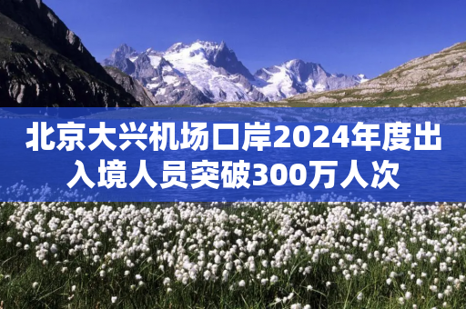 北京大兴机场口岸2024年度出入境人员突破300万人次-第1张图片-靖非智能科技传媒