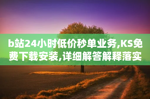 b站24小时低价秒单业务,KS免费下载安装,详细解答解释落实 _ 3DM72.34.44