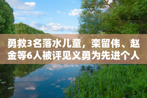 勇救3名落水儿童，栾留伟、赵金等6人被评见义勇为先进个人