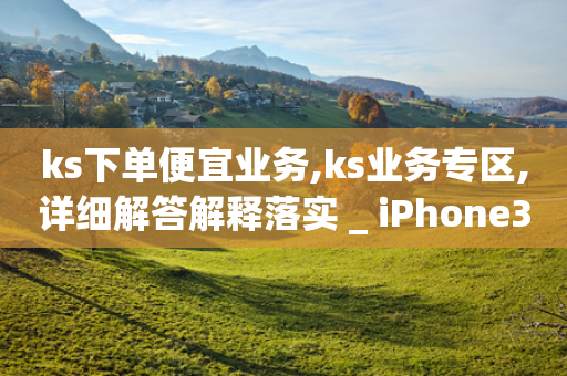 ks下单便宜业务,ks业务专区,详细解答解释落实 _ iPhone34.2.292