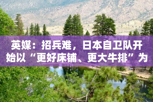 英媒：招兵难，日本自卫队开始以“更好床铺、更大牛排”为宣传卖点-第1张图片-靖非智能科技传媒