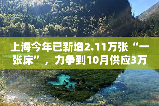 上海今年已新增2.11万张“一张床”，力争到10月供应3万张以上-第1张图片-靖非智能科技传媒