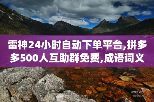 雷神24小时自动下单平台,拼多多500人互助群免费,成语词义解析_ iPhone34.2.323