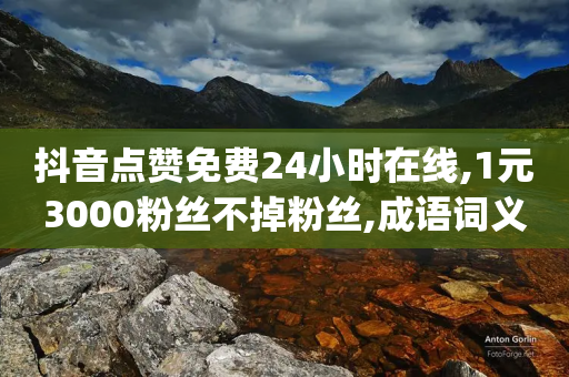 抖音点赞免费24小时在线,1元3000粉丝不掉粉丝,成语词义解析_ 3DM72.34.46