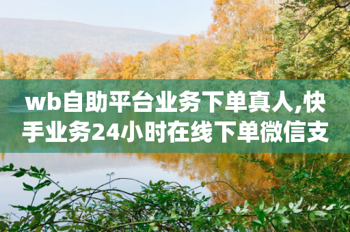 wb自助平台业务下单真人,快手业务24小时在线下单微信支付,详细解答解释落实 _ IOS89.32.127-第1张图片-靖非智能科技传媒