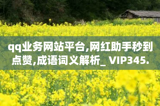 qq业务网站平台,网红助手秒到点赞,成语词义解析_ VIP345.324.187-第1张图片-靖非智能科技传媒