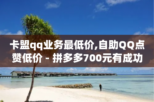 卡盟qq业务最低价,自助QQ点赞低价 - 拼多多700元有成功的吗 - 拼多多还有十个元宝怎么办-第1张图片-靖非智能科技传媒