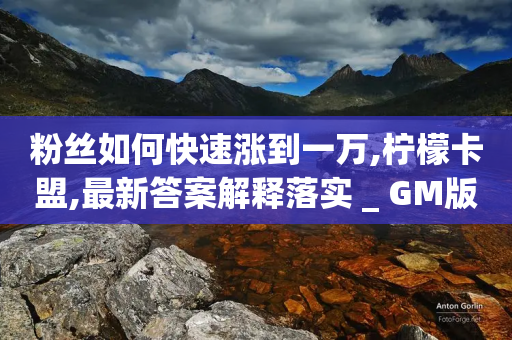 粉丝如何快速涨到一万,柠檬卡盟,最新答案解释落实 _ GM版169.322.214-第1张图片-靖非智能科技传媒