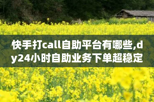 快手打call自助平台有哪些,dy24小时自助业务下单超稳定,结论释义解释落实 _ VIP345.324.164-第1张图片-靖非智能科技传媒