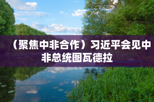 （聚焦中非合作）习近平会见中非总统图瓦德拉