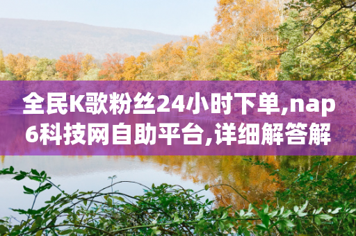 全民K歌粉丝24小时下单,nap6科技网自助平台,详细解答解释落实 _ GM版169.322.90-第1张图片-靖非智能科技传媒