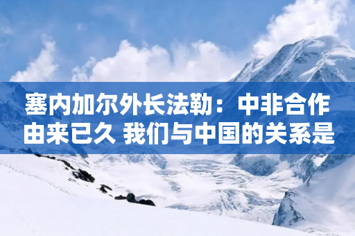 塞内加尔外长法勒：中非合作由来已久 我们与中国的关系是双赢