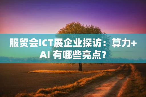 服贸会ICT展企业探访：算力+AI 有哪些亮点？-第1张图片-靖非智能科技传媒