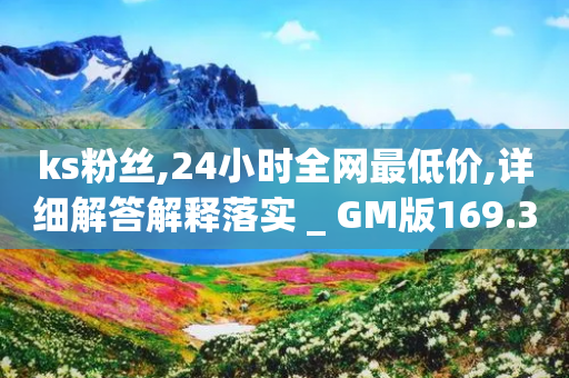 ks粉丝,24小时全网最低价,详细解答解释落实 _ GM版169.322.73-第1张图片-靖非智能科技传媒