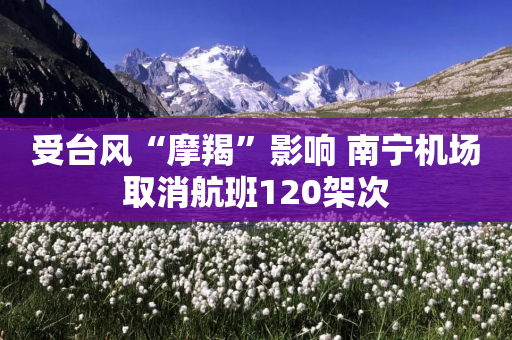 受台风“摩羯”影响 南宁机场取消航班120架次-第1张图片-靖非智能科技传媒