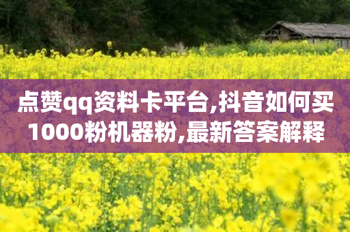 点赞qq资料卡平台,抖音如何买1000粉机器粉,最新答案解释落实 _ VIP345.324.126-第1张图片-靖非智能科技传媒