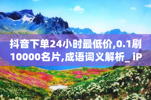 抖音下单24小时最低价,0.1刷10000名片,成语词义解析_ iPhone34.2.295-第1张图片-靖非智能科技传媒