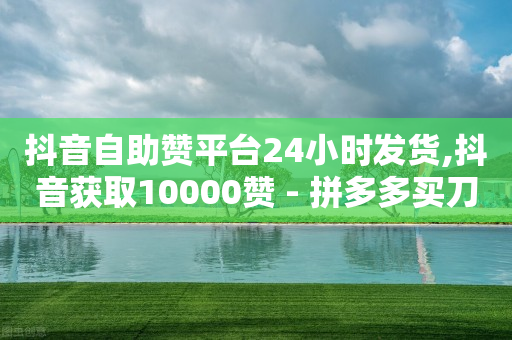 抖音自助赞平台24小时发货,抖音获取10000赞 - 拼多多买刀助力 - 拼多多助力怎么回事-第1张图片-靖非智能科技传媒