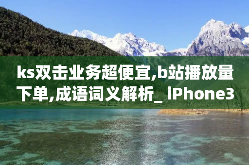 ks双击业务超便宜,b站播放量下单,成语词义解析_ iPhone34.2.362-第1张图片-靖非智能科技传媒