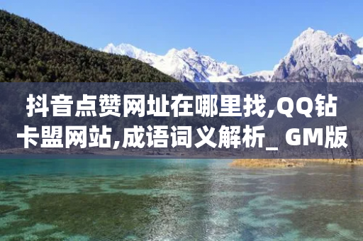 抖音点赞网址在哪里找,QQ钻卡盟网站,成语词义解析_ GM版169.322.255-第1张图片-靖非智能科技传媒