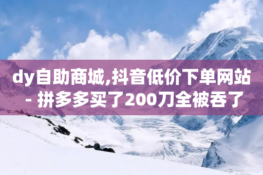 dy自助商城,抖音低价下单网站 - 拼多多买了200刀全被吞了 - 怎么进拼多多助力群聊-第1张图片-靖非智能科技传媒