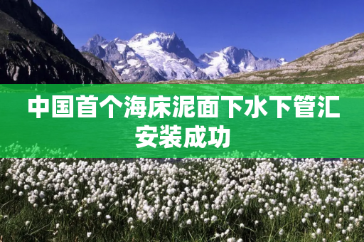 中国首个海床泥面下水下管汇安装成功-第1张图片-靖非智能科技传媒