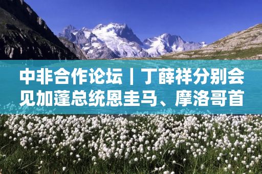 中非合作论坛｜丁薛祥分别会见加蓬总统恩圭马、摩洛哥首相阿赫努什-第1张图片-靖非智能科技传媒