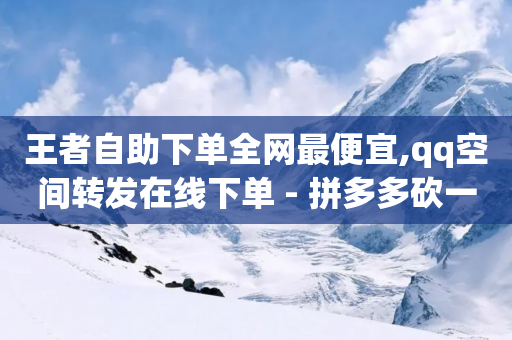 王者自助下单全网最便宜,qq空间转发在线下单 - 拼多多砍一刀网站 - 拼多多口令箭头-第1张图片-靖非智能科技传媒