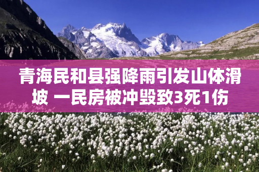 青海民和县强降雨引发山体滑坡 一民房被冲毁致3死1伤