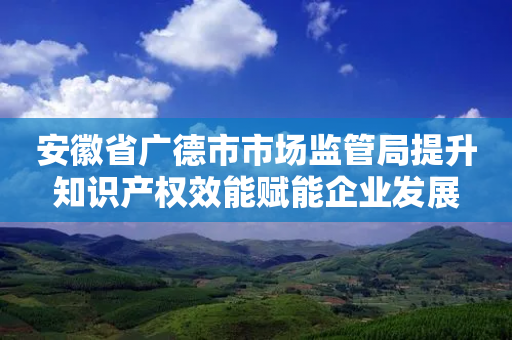 安徽省广德市市场监管局提升知识产权效能赋能企业发展-第1张图片-靖非智能科技传媒