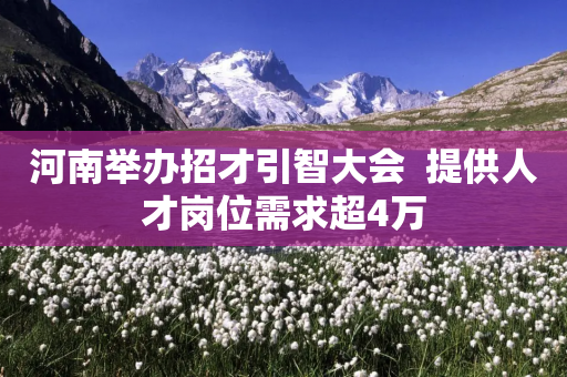 河南举办招才引智大会  提供人才岗位需求超4万