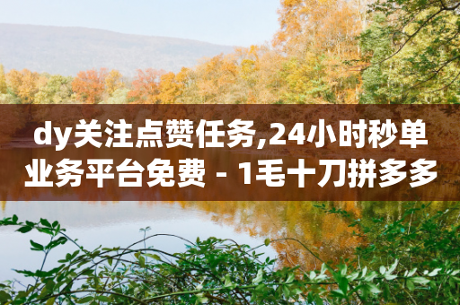 dy关注点赞任务,24小时秒单业务平台免费 - 1毛十刀拼多多助力网站 - 幸运值99.99之后-第1张图片-靖非智能科技传媒