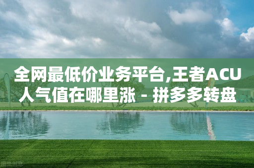 全网最低价业务平台,王者ACU人气值在哪里涨 - 拼多多转盘最后0.01解决办法 - 拼多多怎么帮别人助力领钱-第1张图片-靖非智能科技传媒