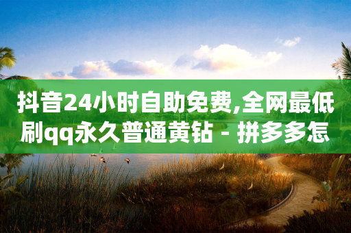 抖音24小时自助免费,全网最低刷qq永久普通黄钻 - 拼多多怎么助力成功 - 拼多多带点助力