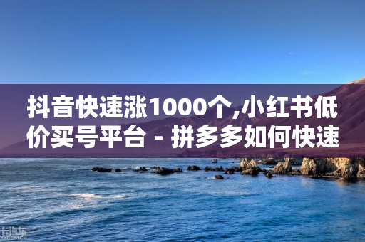 抖音快速涨1000个,小红书低价买号平台 - 拼多多如何快速助力成功 - 拼多多砍价免费拿最新