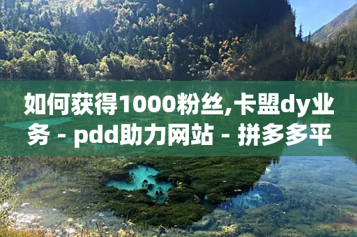 如何获得1000粉丝,卡盟dy业务 - pdd助力网站 - 拼多多平台协议在哪-第1张图片-靖非智能科技传媒