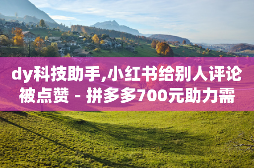 dy科技助手,小红书给别人评论被点赞 - 拼多多700元助力需要多少人 - 花钱点拼多多助力网站-第1张图片-靖非智能科技传媒