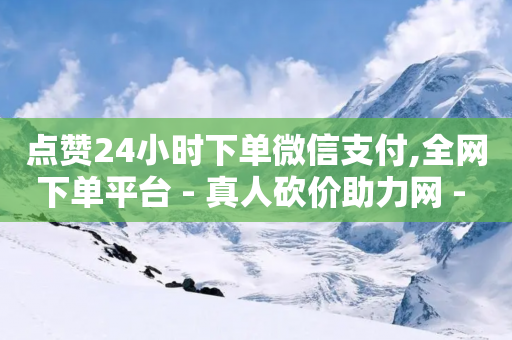 点赞24小时下单微信支付,全网下单平台 - 真人砍价助力网 - 拼多多刷宝神器