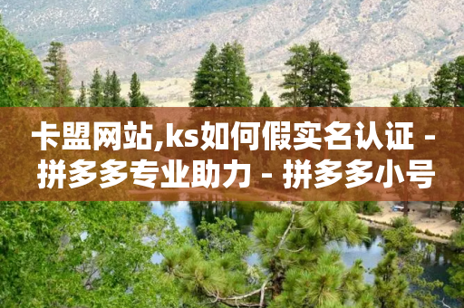 卡盟网站,ks如何假实名认证 - 拼多多专业助力 - 拼多多小号批发入口