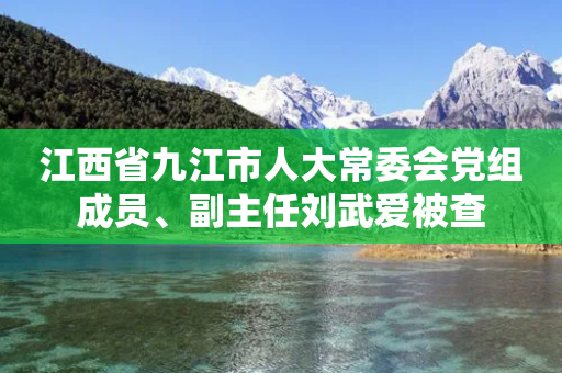 江西省九江市人大常委会党组成员、副主任刘武爱被查