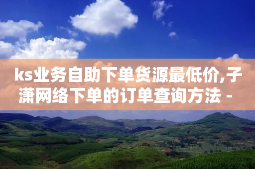 ks业务自助下单货源最低价,子潇网络下单的订单查询方法 - 拼多多刷助力软件 - 拼多多助力小程序