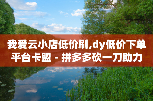 我爱云小店低价刷,dy低价下单平台卡盟 - 拼多多砍一刀助力平台 - 业务网24小时自助下单科技-第1张图片-靖非智能科技传媒