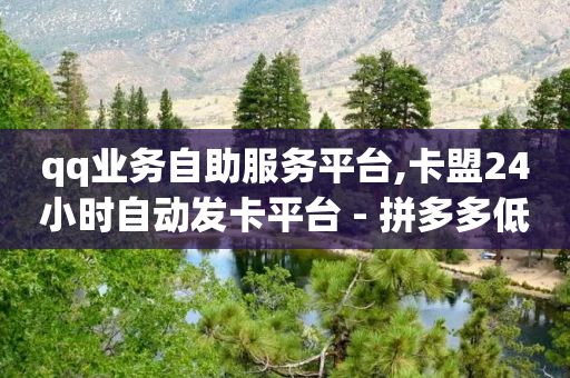 qq业务自助服务平台,卡盟24小时自动发卡平台 - 拼多多低价助力 - 网红云商城自助下单软件-第1张图片-靖非智能科技传媒