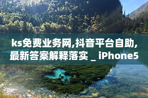 ks免费业务网,抖音平台自助,最新答案解释落实 _ iPhone54.67.222